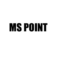 MS Point Wagenheber